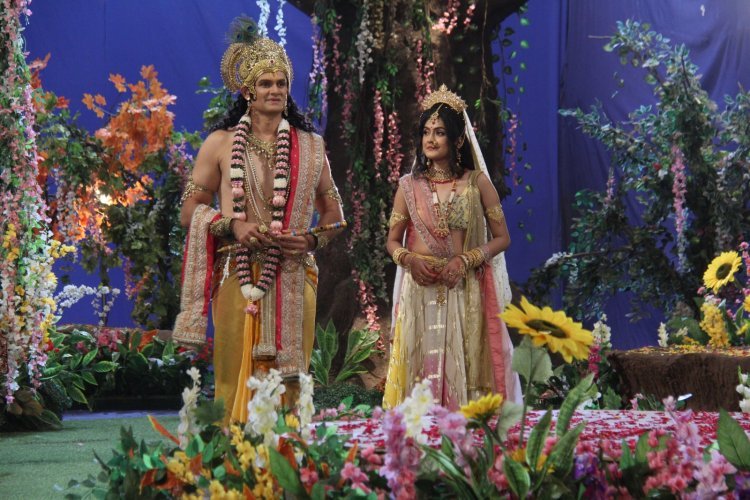 5 Reasons Kaamdhenu Gaumata Captivates on Star Bharat